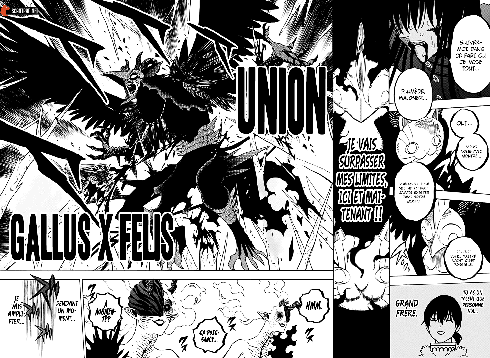 Black Clover: Chapter chapitre-287 - Page 7