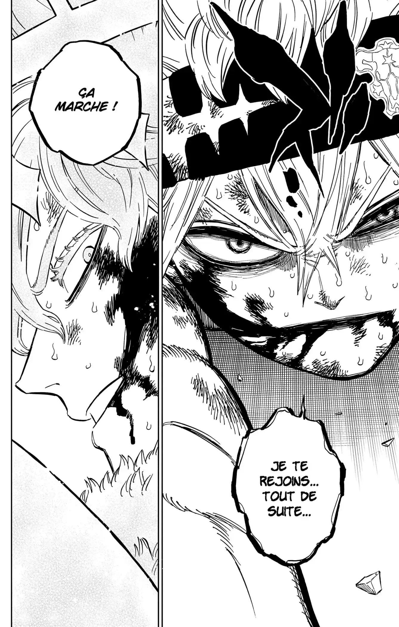 Black Clover: Chapter chapitre-380 - Page 15