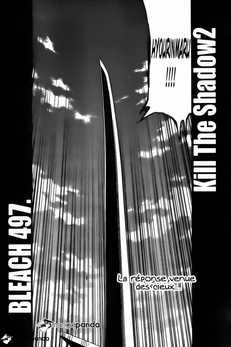 Bleach: Chapter chapitre-497 - Page 5