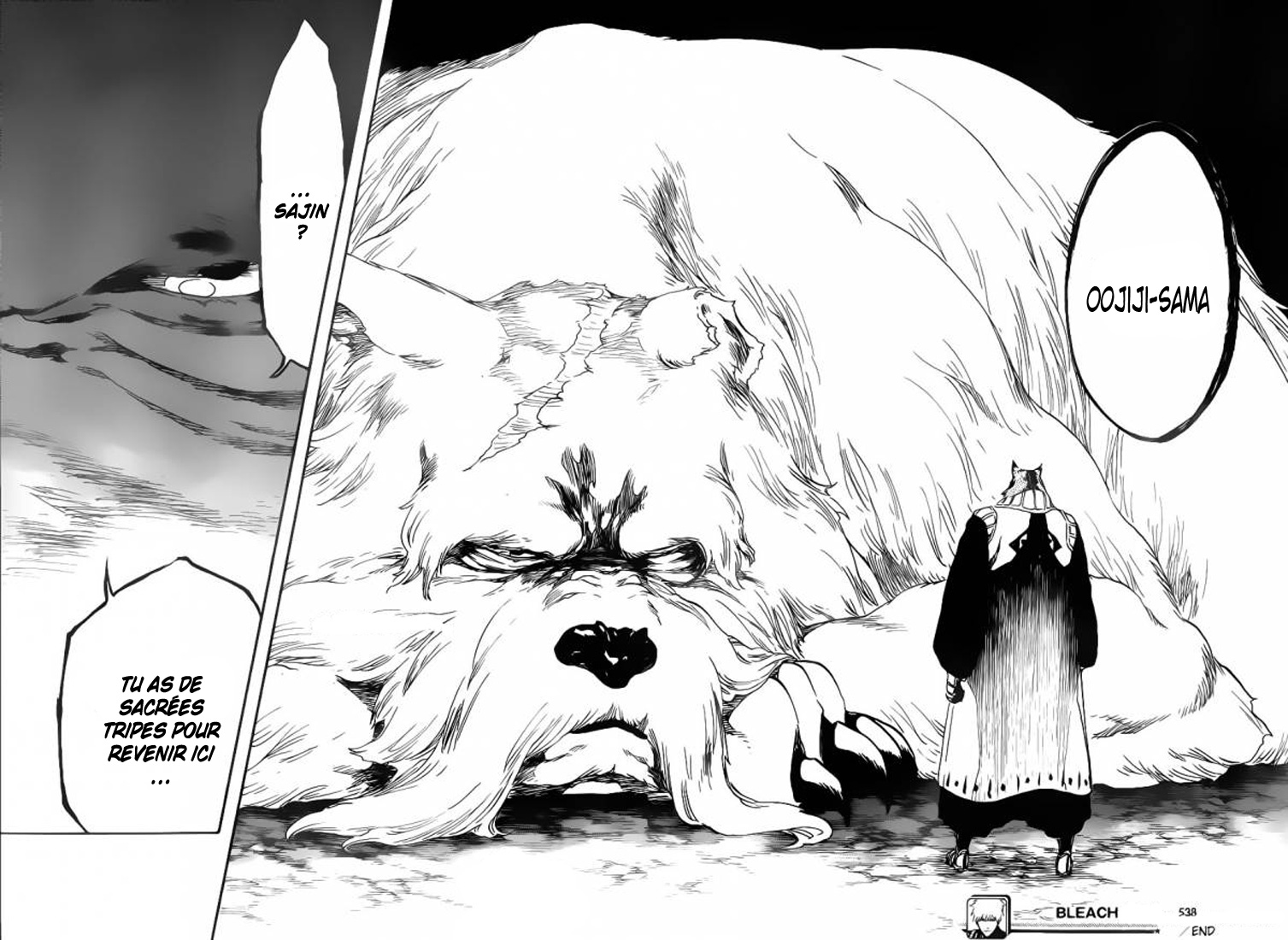 Bleach: Chapter chapitre-538 - Page 17