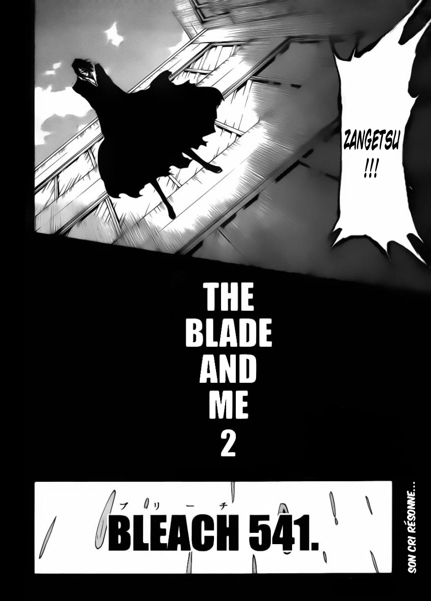 Bleach: Chapter chapitre-541 - Page 5