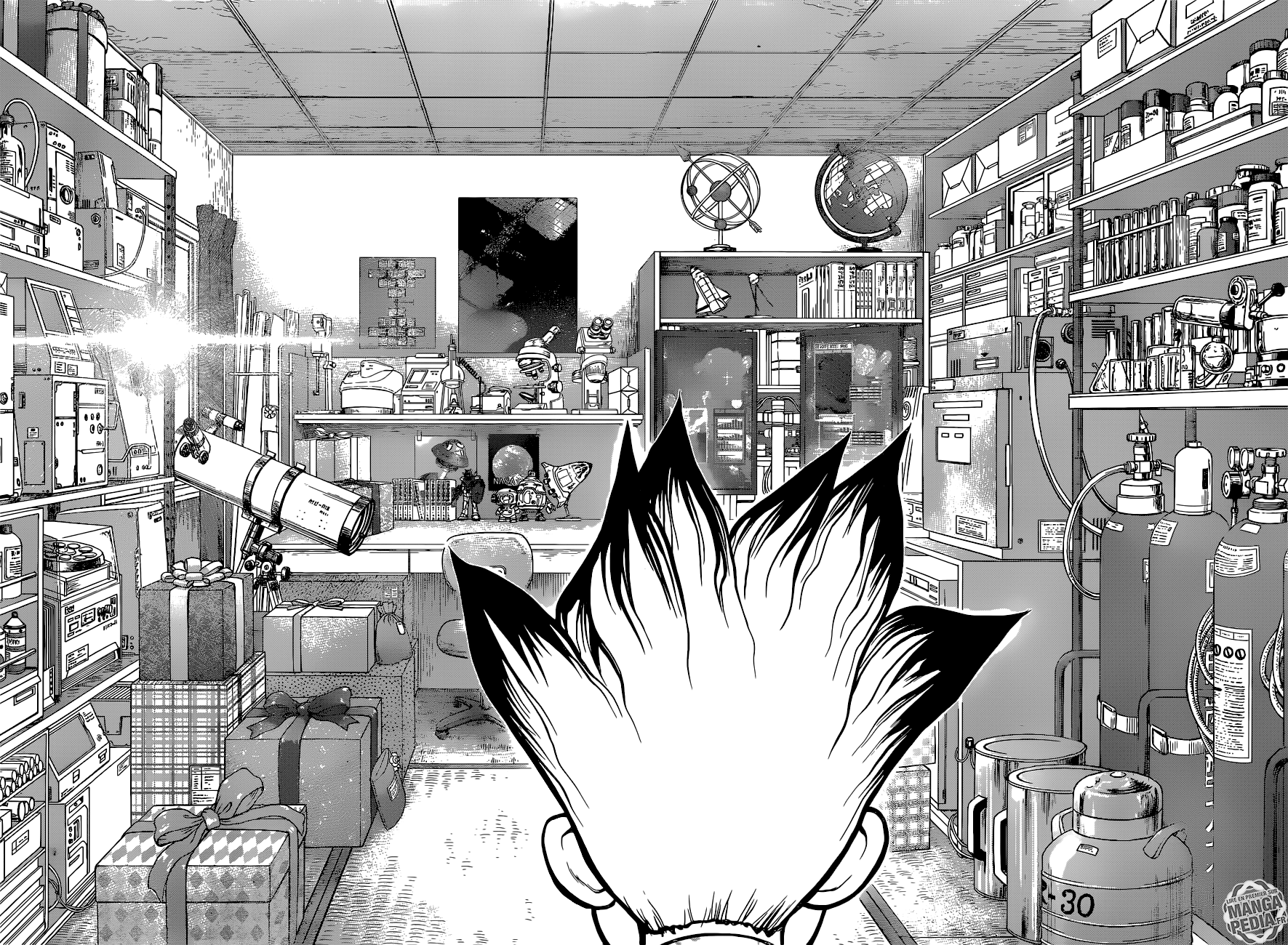 Dr. Stone: Chapter chapitre-10 - Page 4