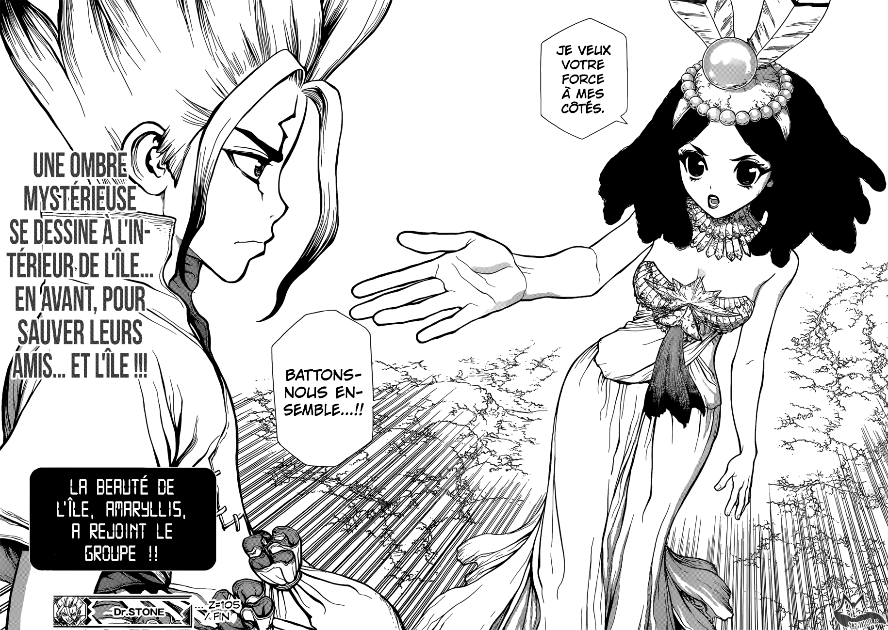 Dr. Stone: Chapter chapitre-105 - Page 17