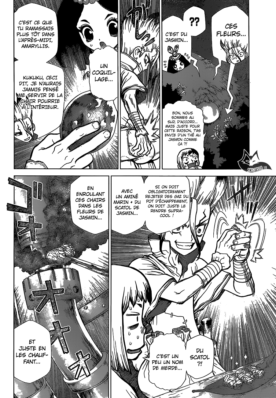 Dr. Stone: Chapter chapitre-109 - Page 15