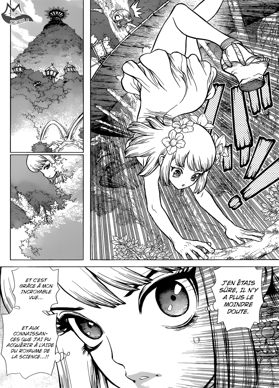 Dr. Stone: Chapter chapitre-112 - Page 15