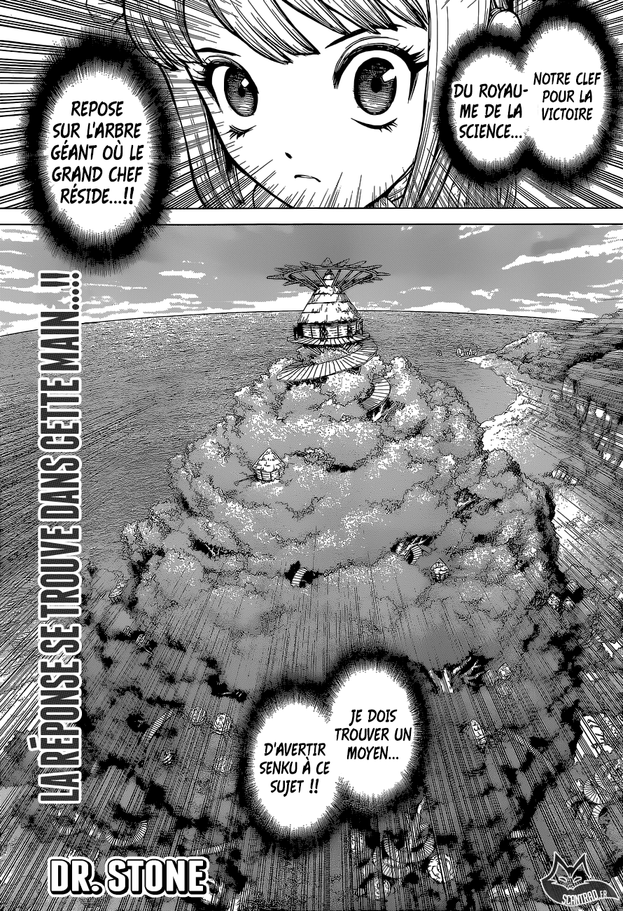Dr. Stone: Chapter chapitre-113 - Page 1
