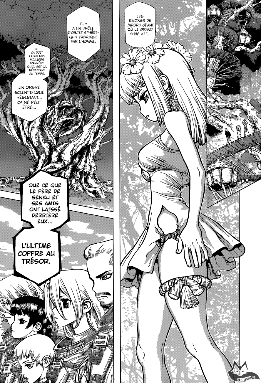 Dr. Stone: Chapter chapitre-113 - Page 14