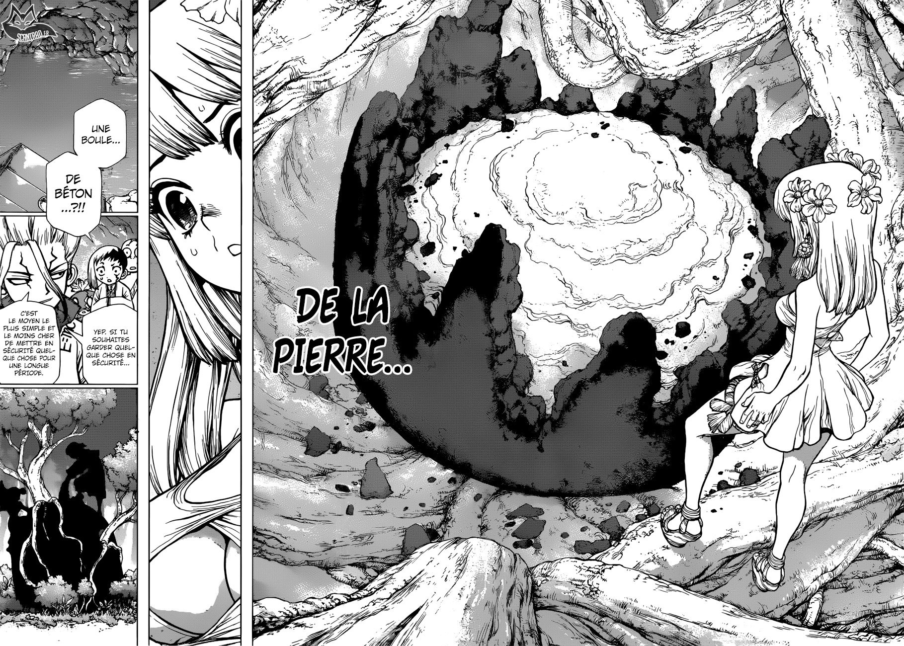 Dr. Stone: Chapter chapitre-114 - Page 4