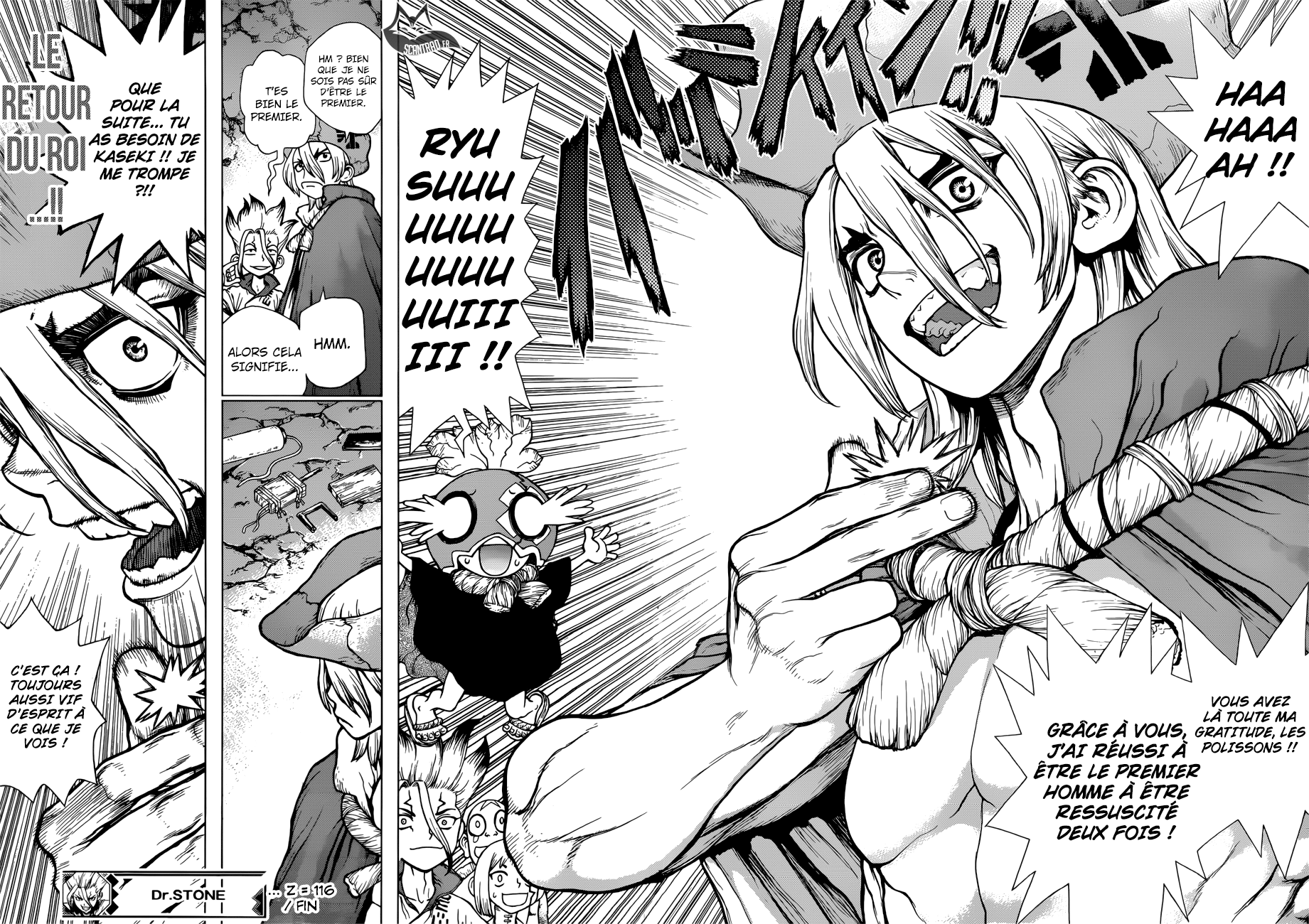 Dr. Stone: Chapter chapitre-116 - Page 17