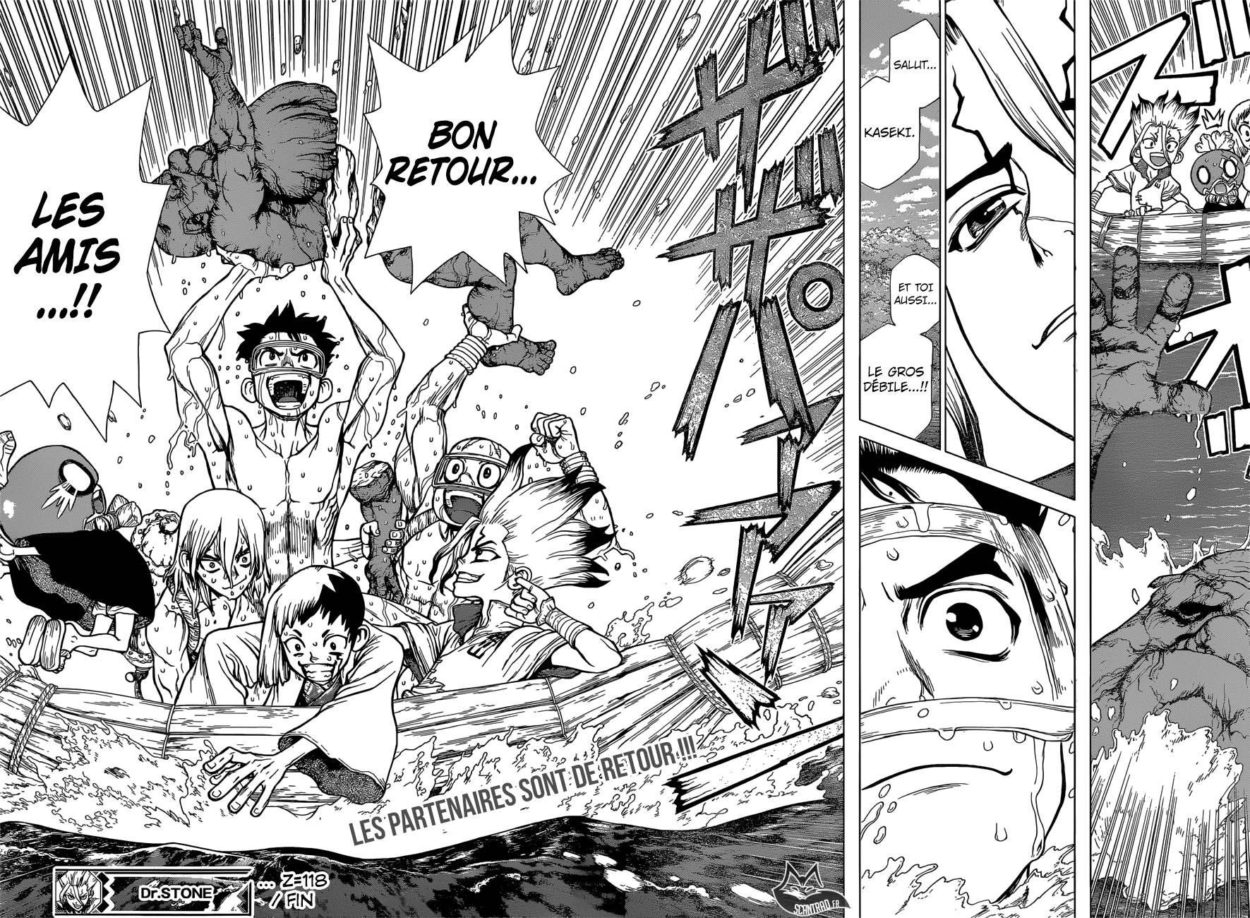 Dr. Stone: Chapter chapitre-118 - Page 17