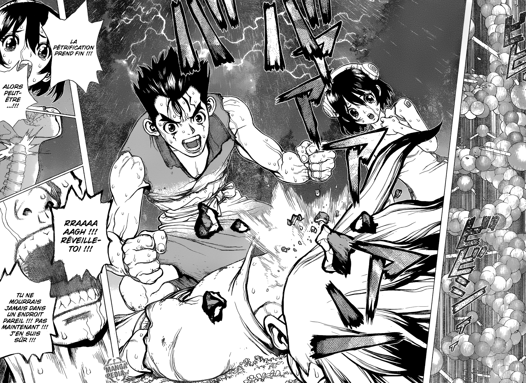 Dr. Stone: Chapter chapitre-12 - Page 14