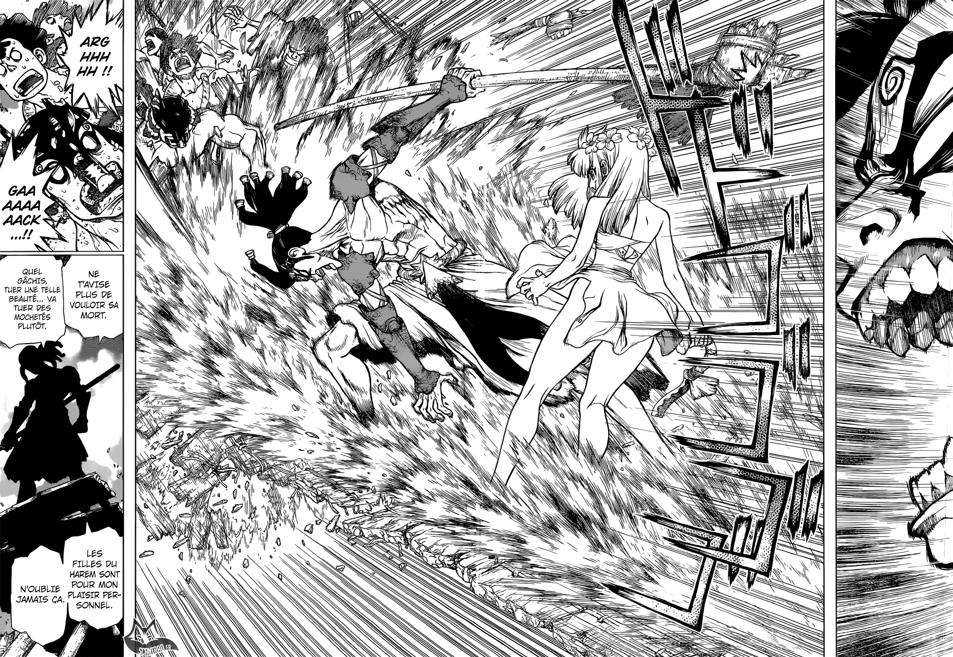 Dr. Stone: Chapter chapitre-120 - Page 12