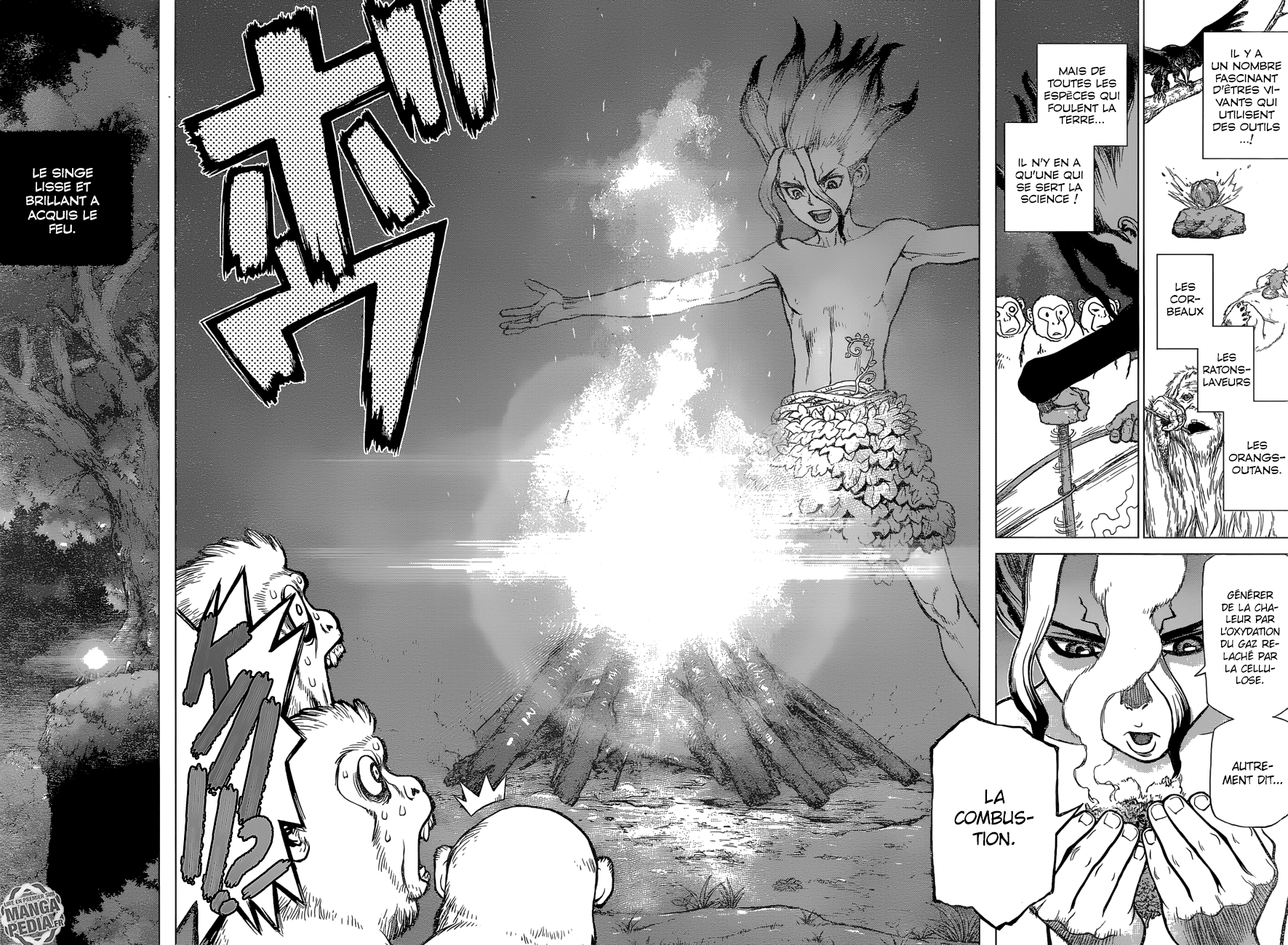 Dr. Stone: Chapter chapitre-13 - Page 15