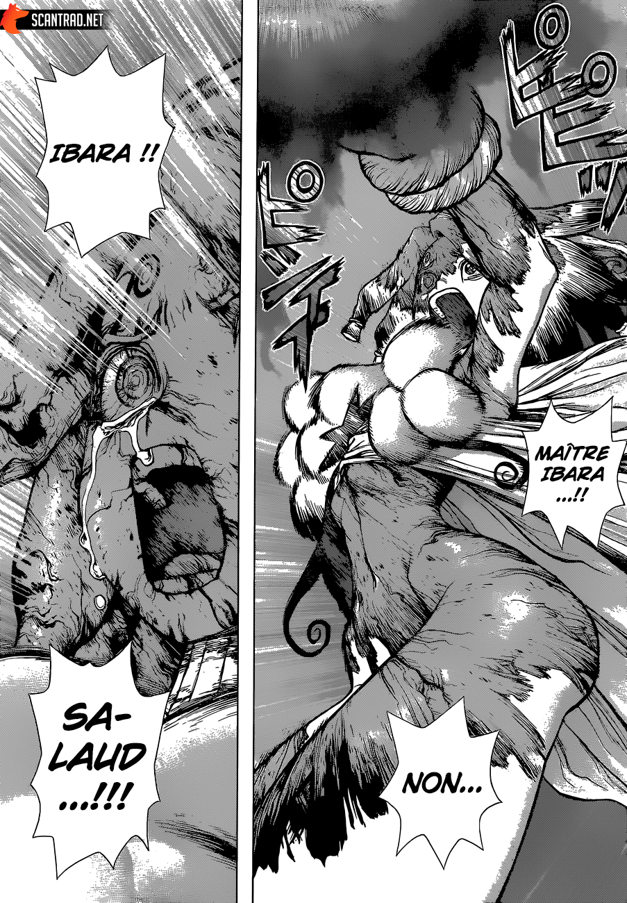 Dr. Stone: Chapter chapitre-131 - Page 13