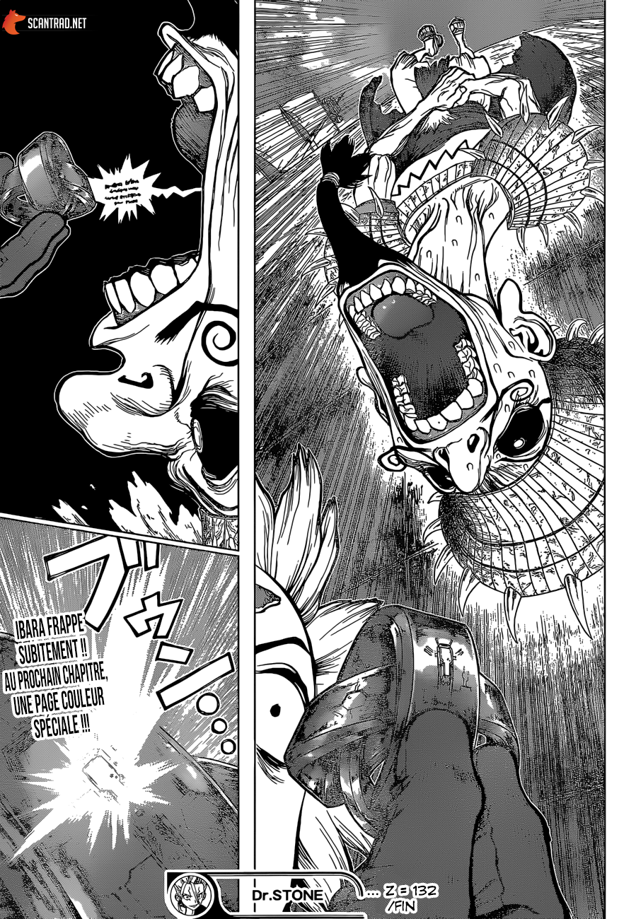 Dr. Stone: Chapter chapitre-132 - Page 17