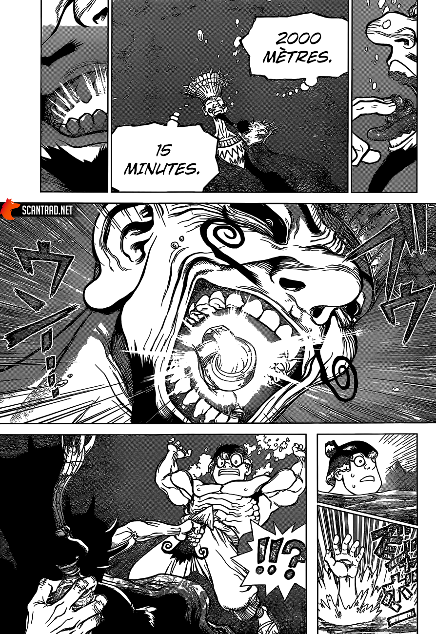 Dr. Stone: Chapter chapitre-133 - Page 4