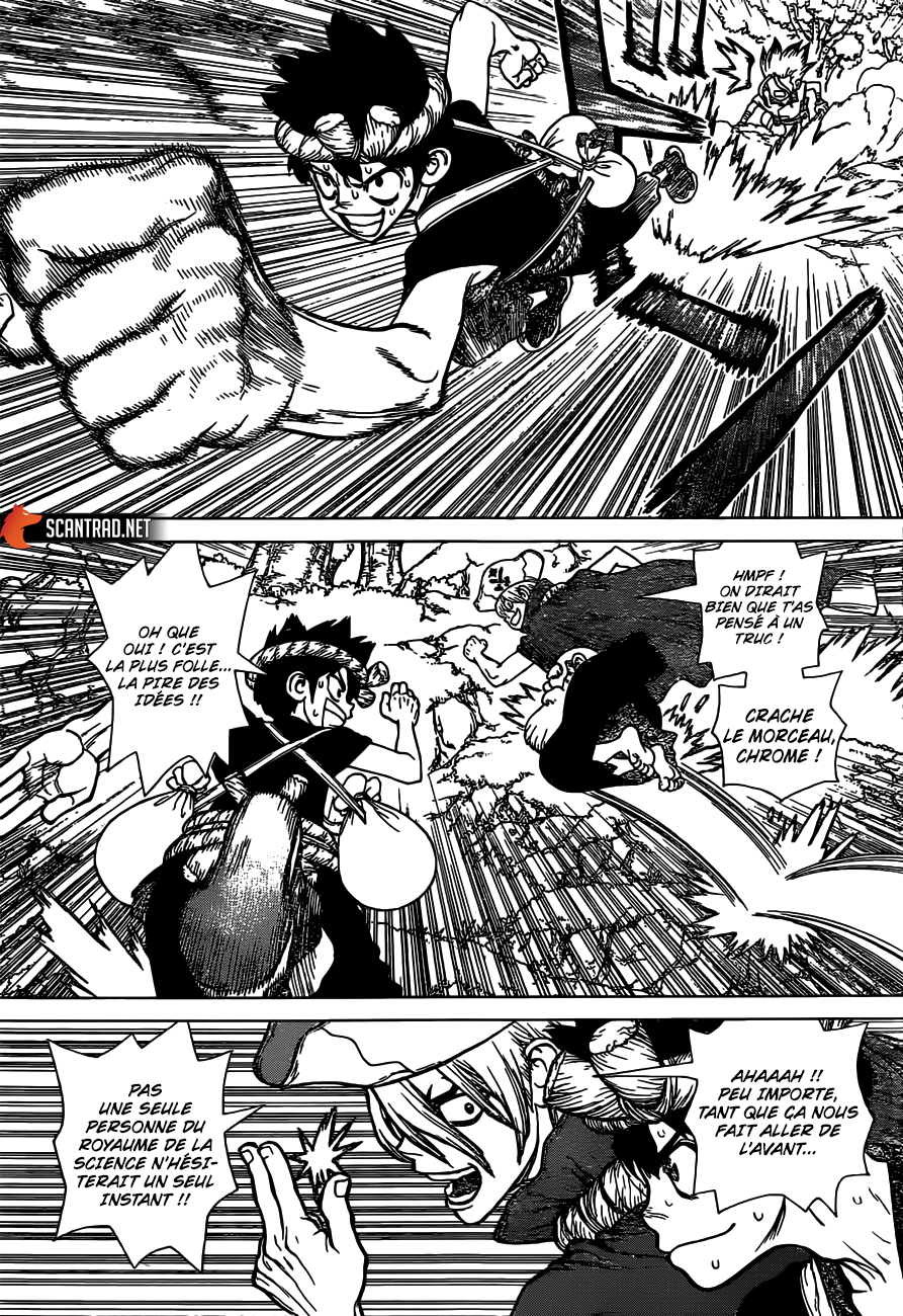 Dr. Stone: Chapter chapitre-133 - Page 11