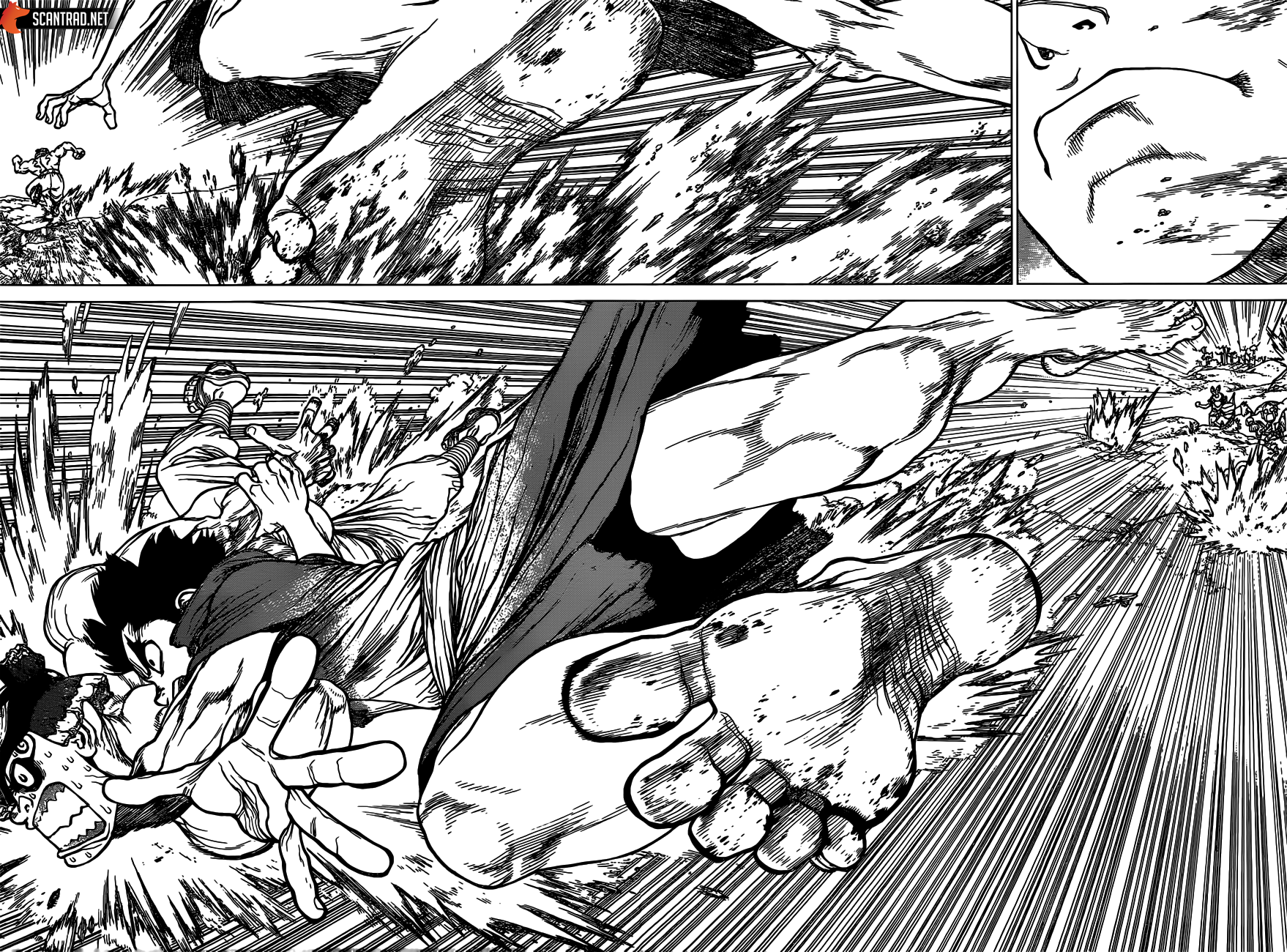 Dr. Stone: Chapter chapitre-133 - Page 12
