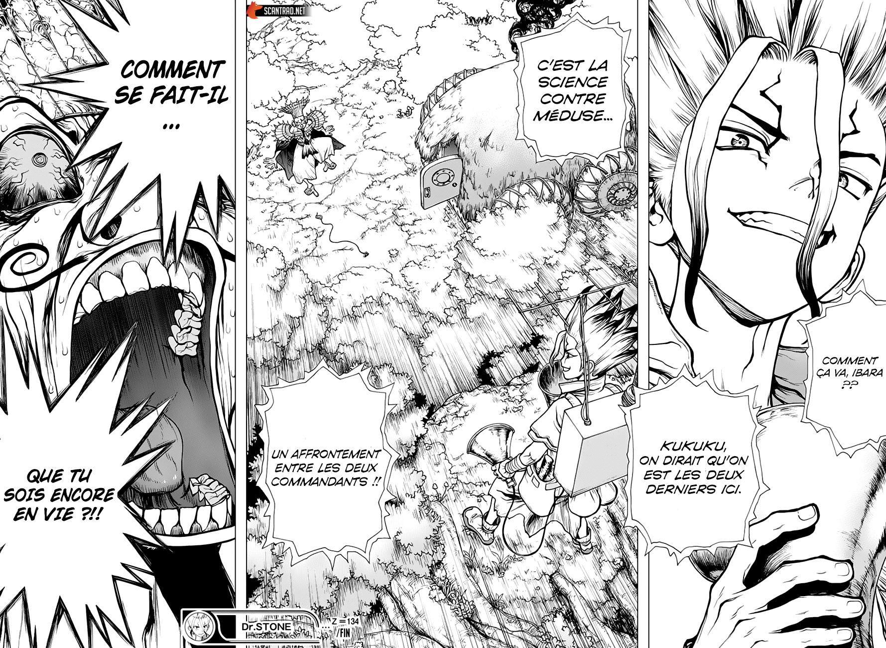 Dr. Stone: Chapter chapitre-134 - Page 17