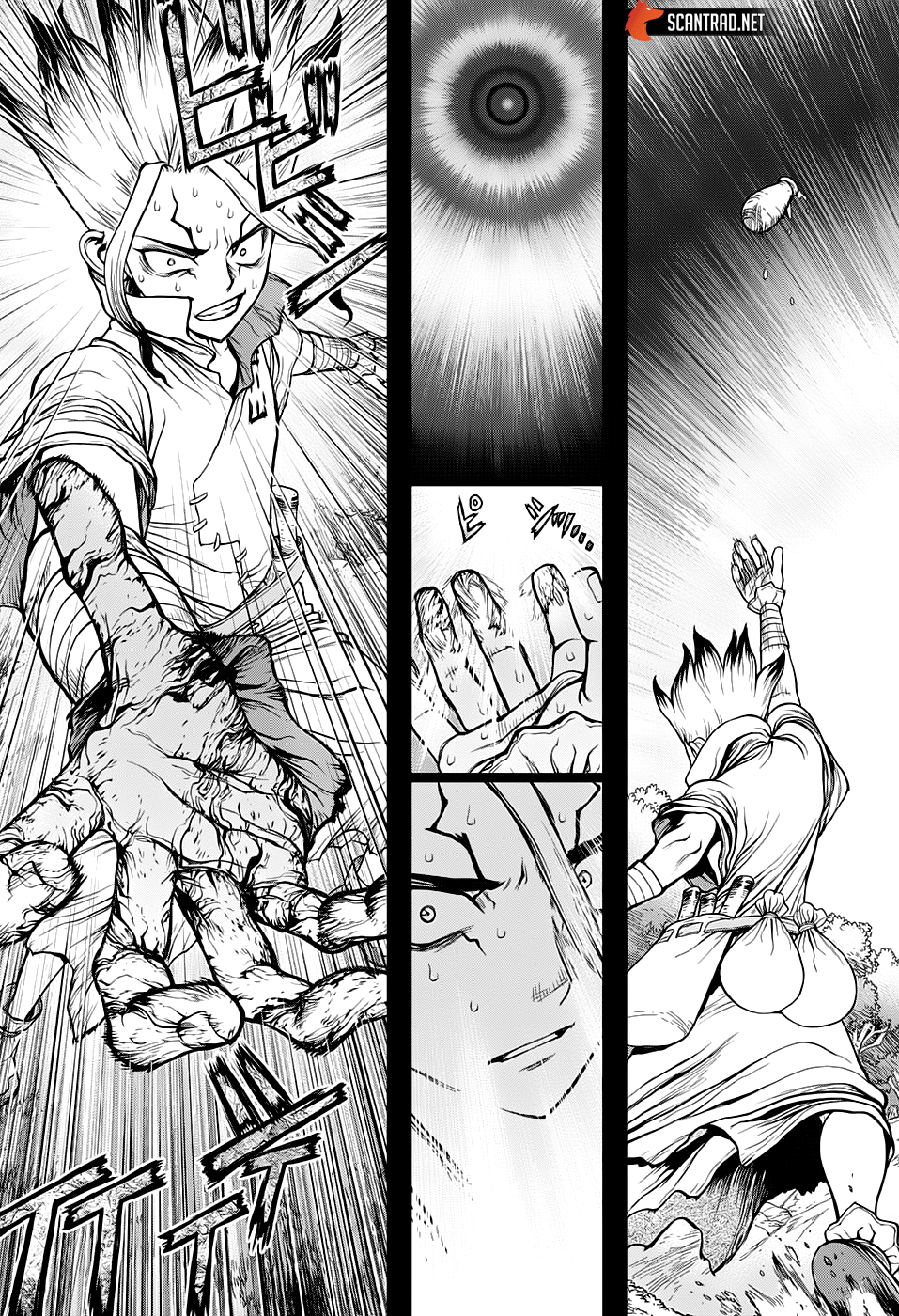 Dr. Stone: Chapter chapitre-135 - Page 8