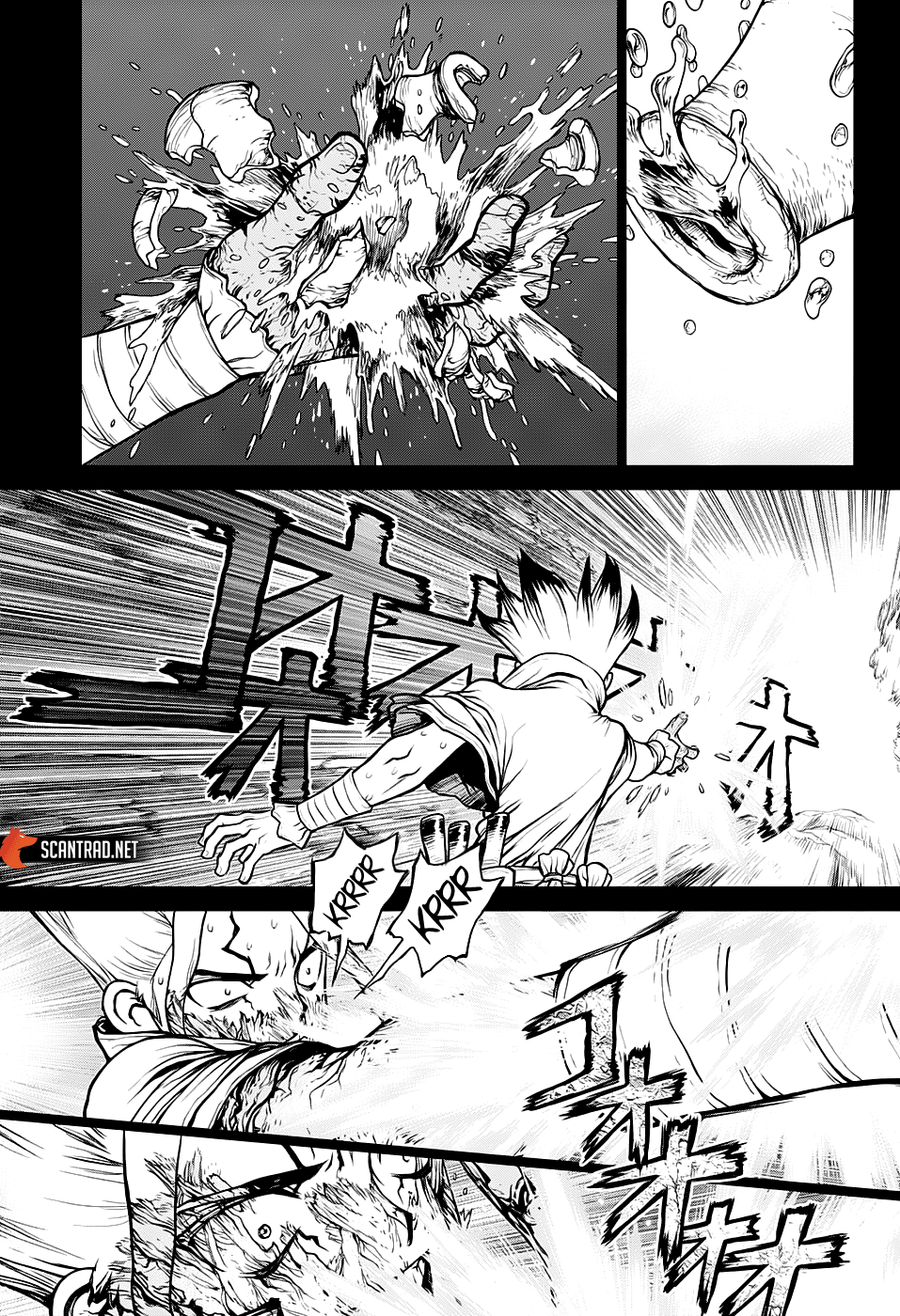 Dr. Stone: Chapter chapitre-135 - Page 9