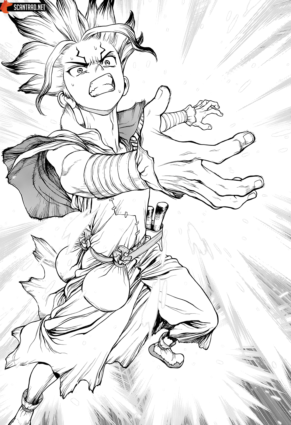 Dr. Stone: Chapter chapitre-135 - Page 10