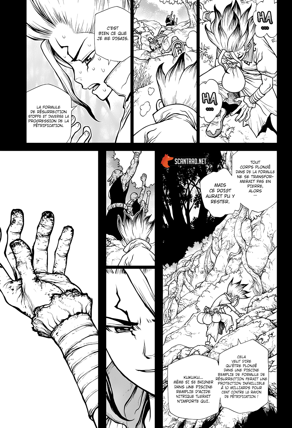 Dr. Stone: Chapter chapitre-135 - Page 11