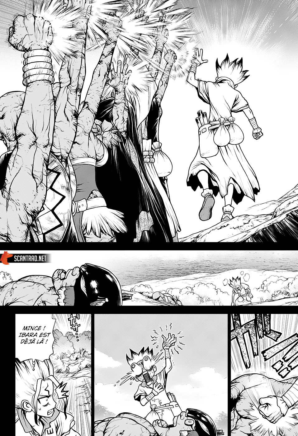 Dr. Stone: Chapter chapitre-135 - Page 12