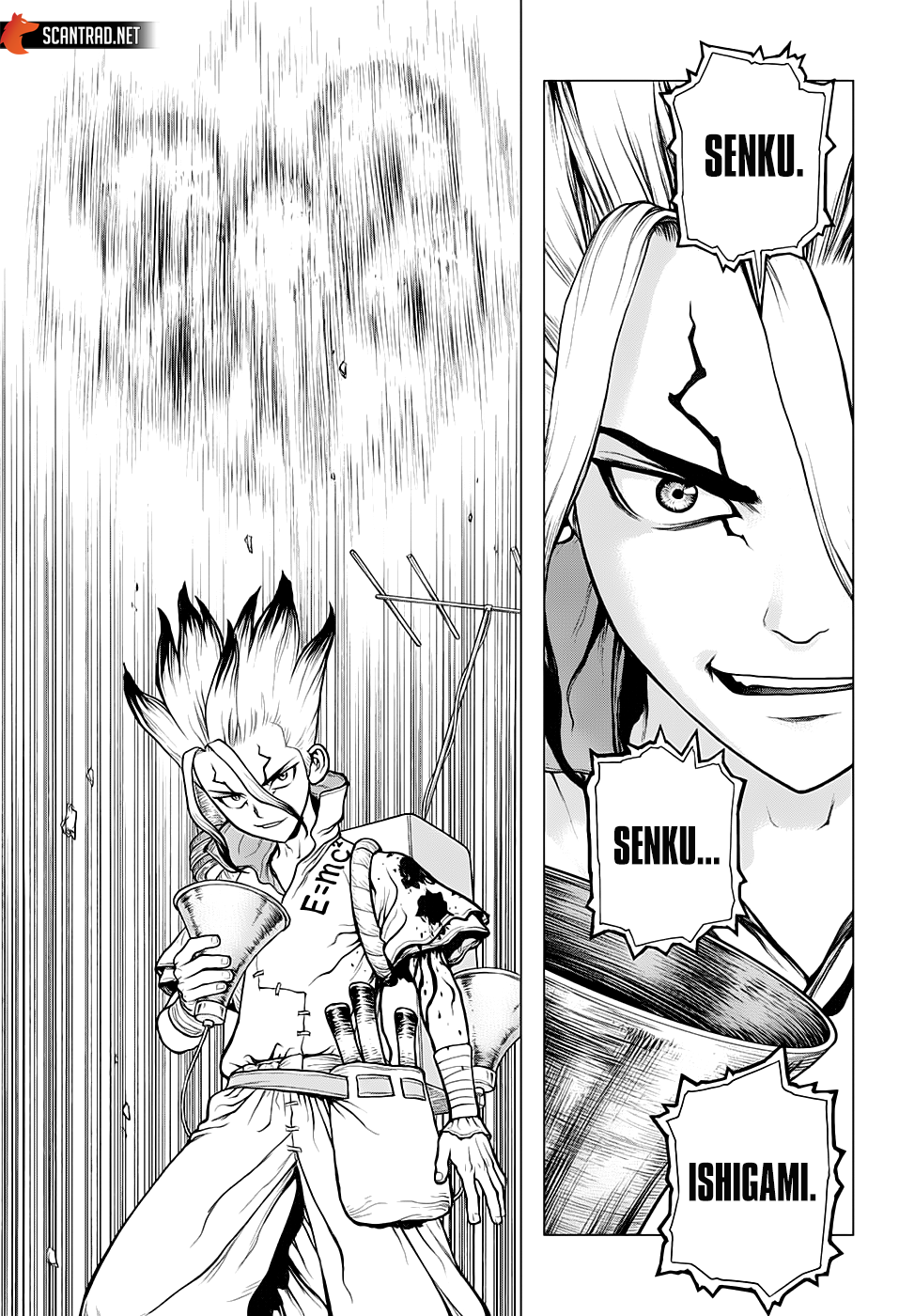 Dr. Stone: Chapter chapitre-136 - Page 13