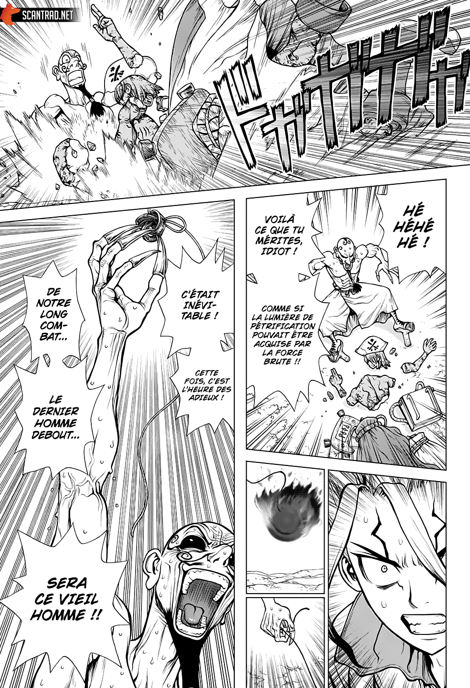 Dr. Stone: Chapter chapitre-137 - Page 8