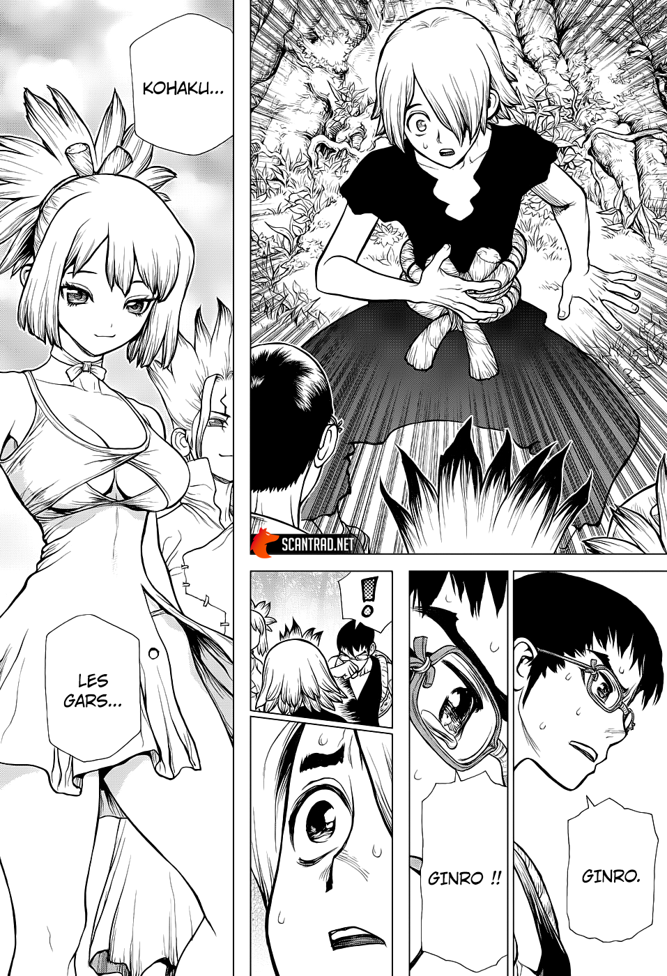 Dr. Stone: Chapter chapitre-138 - Page 10