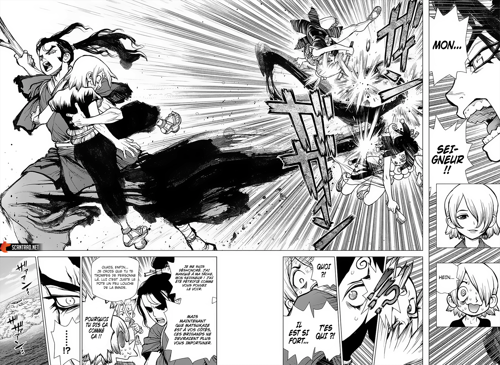 Dr. Stone: Chapter chapitre-139 - Page 11