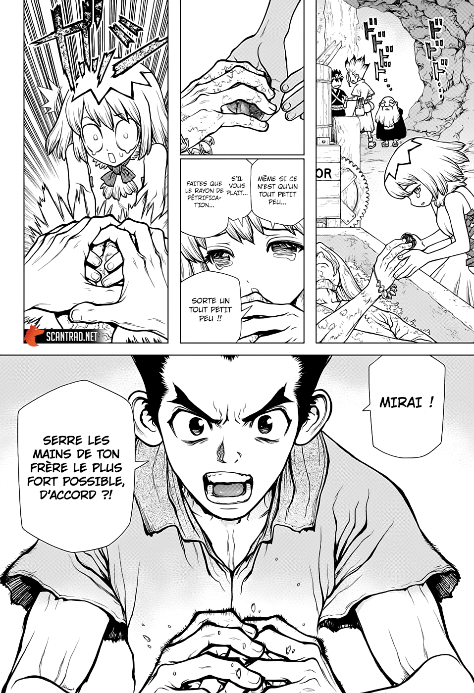 Dr. Stone: Chapter chapitre-141 - Page 7