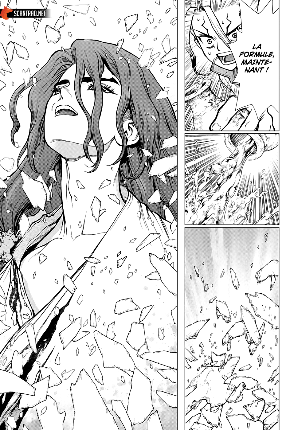 Dr. Stone: Chapter chapitre-141 - Page 10