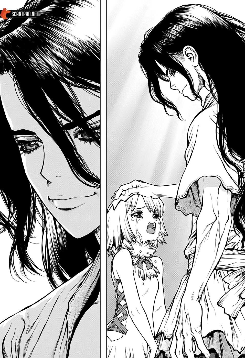 Dr. Stone: Chapter chapitre-141 - Page 11