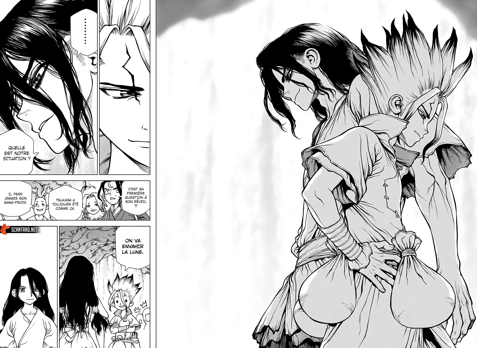 Dr. Stone: Chapter chapitre-141 - Page 13