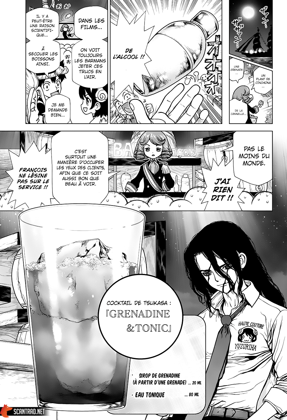 Dr. Stone: Chapter chapitre-145 - Page 11