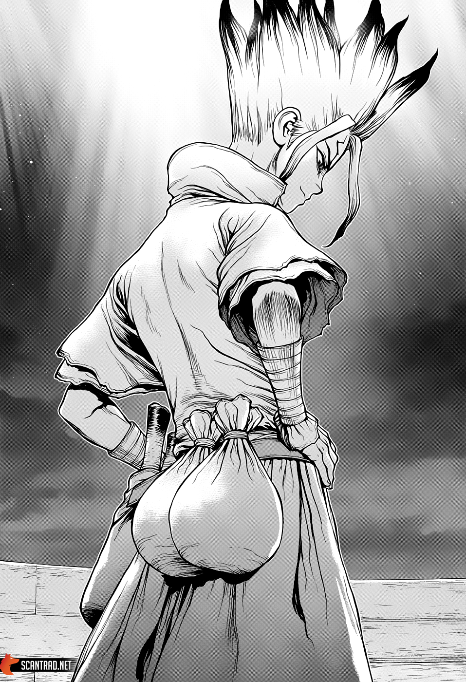 Dr. Stone: Chapter chapitre-145 - Page 17