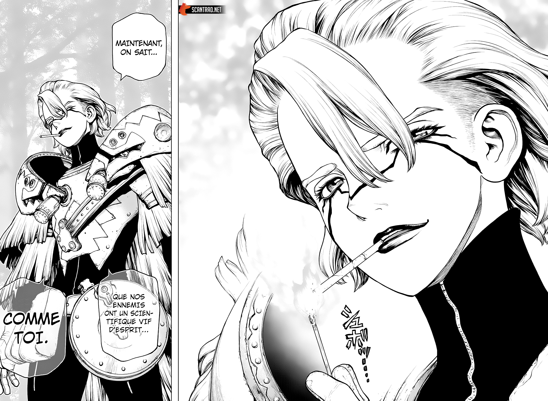 Dr. Stone: Chapter chapitre-150 - Page 15