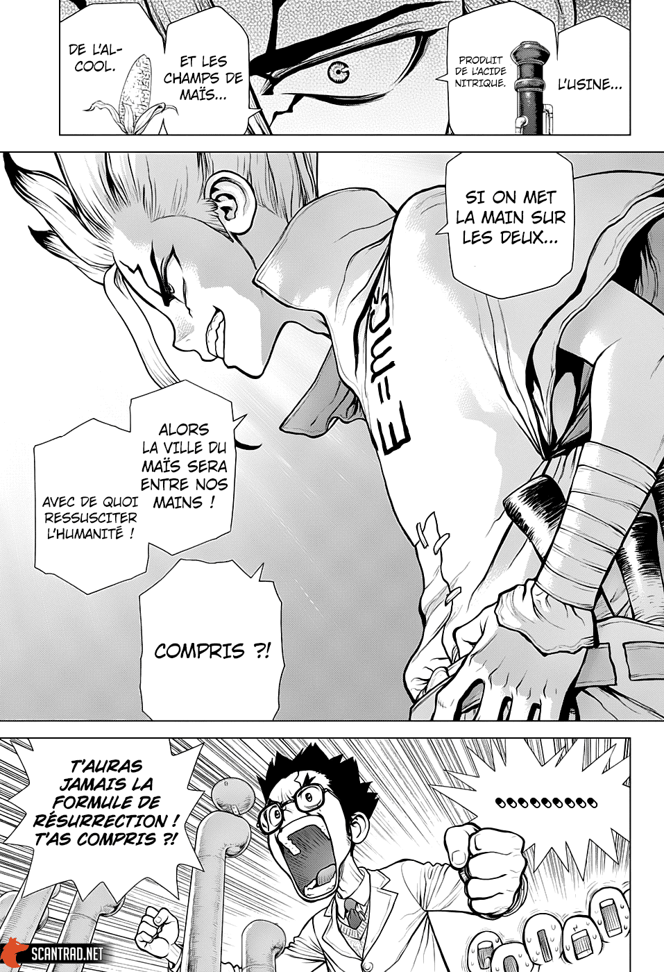 Dr. Stone: Chapter chapitre-152 - Page 15