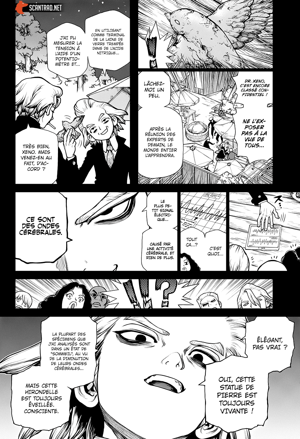 Dr. Stone: Chapter chapitre-157 - Page 7