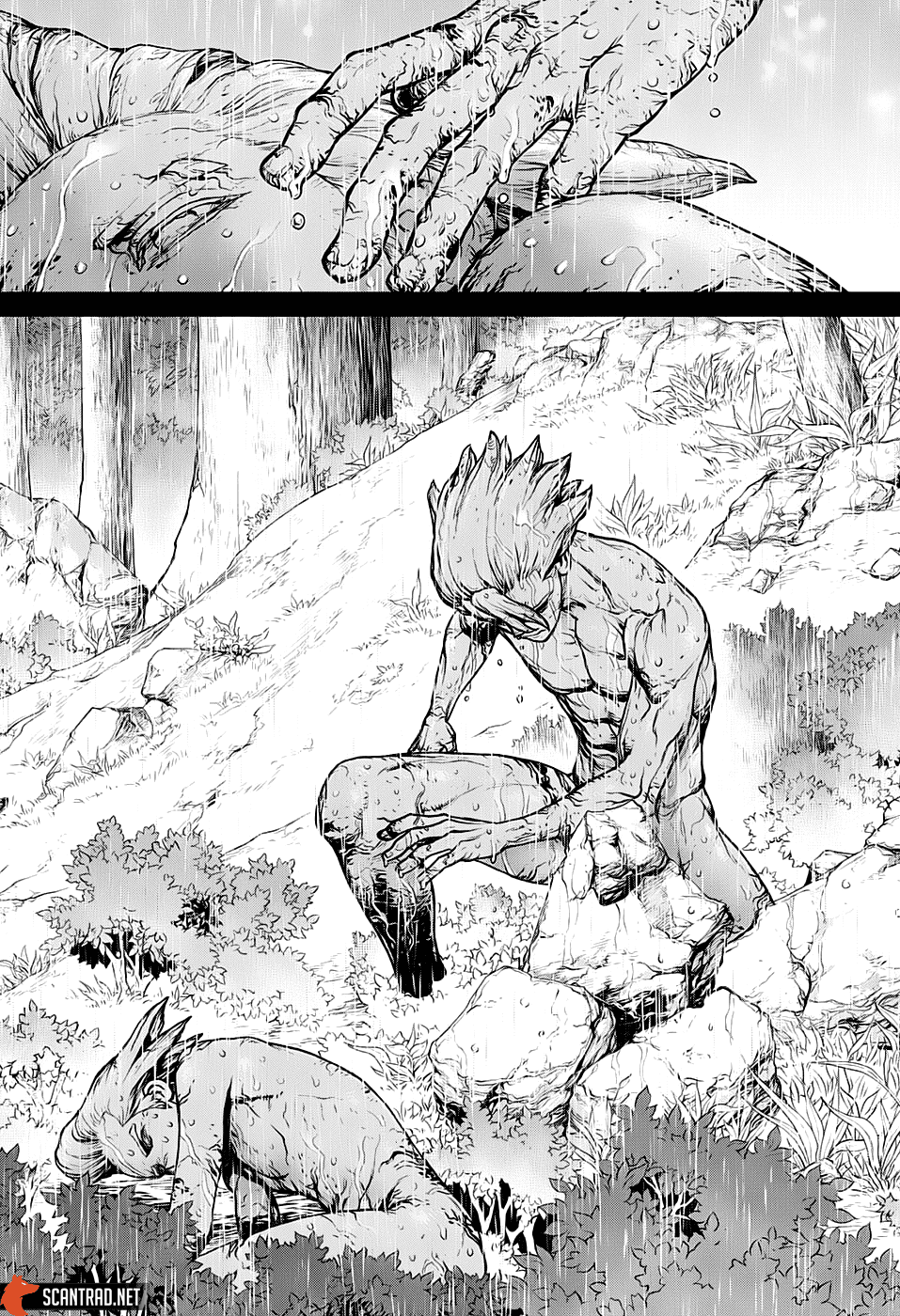 Dr. Stone: Chapter chapitre-157 - Page 13