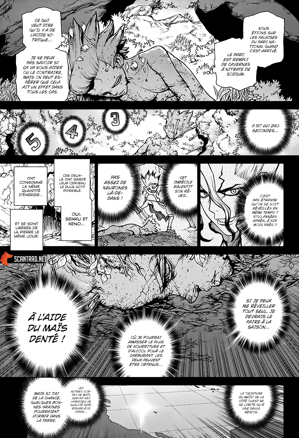 Dr. Stone: Chapter chapitre-157 - Page 14