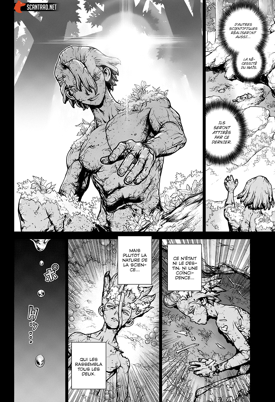 Dr. Stone: Chapter chapitre-157 - Page 15