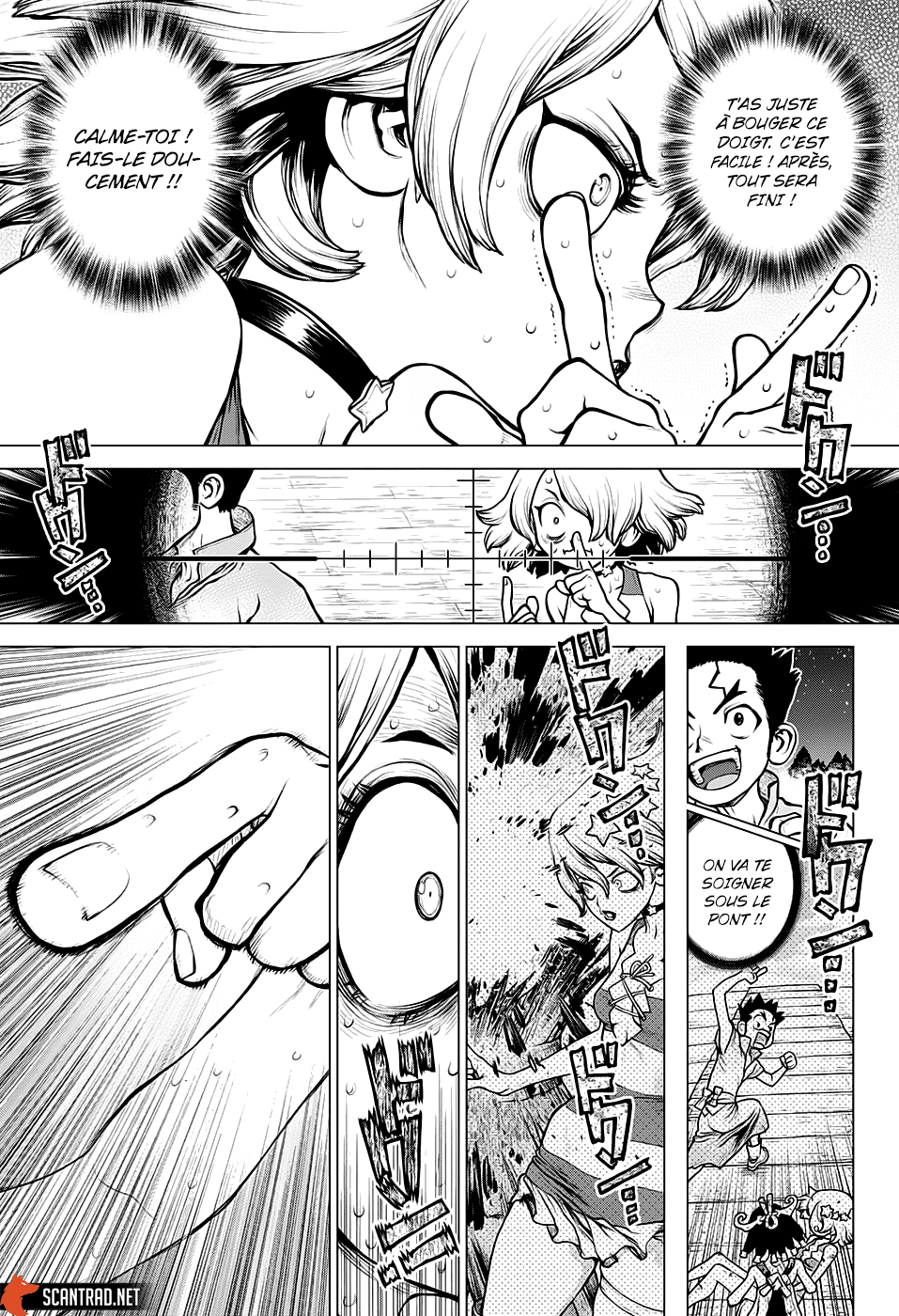 Dr. Stone: Chapter chapitre-158 - Page 10