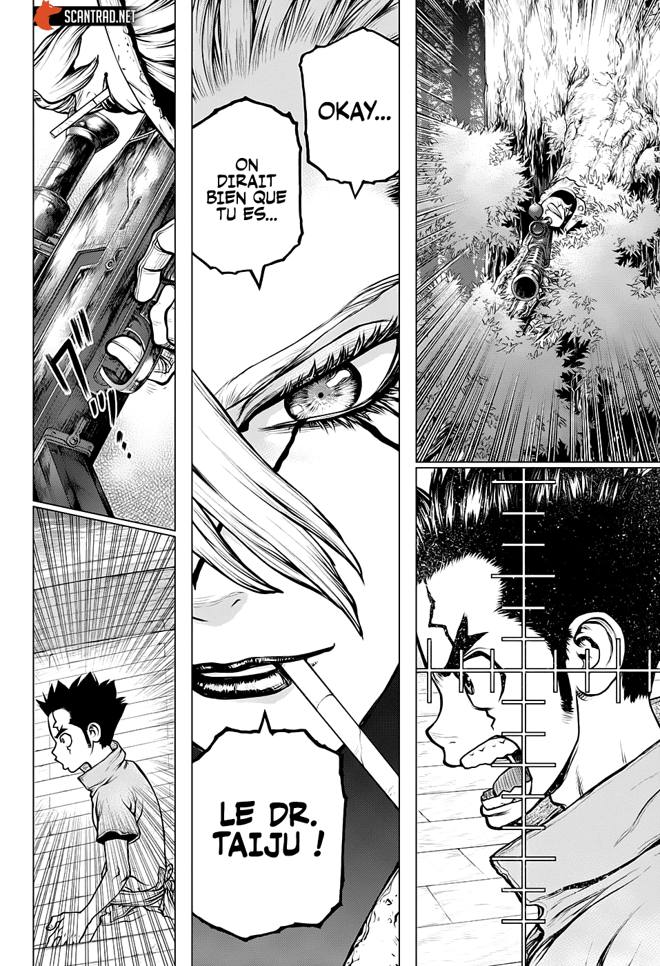 Dr. Stone: Chapter chapitre-158 - Page 15
