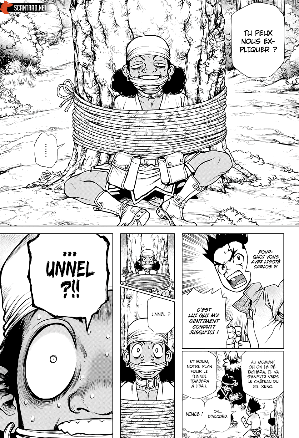 Dr. Stone: Chapter chapitre-162 - Page 15