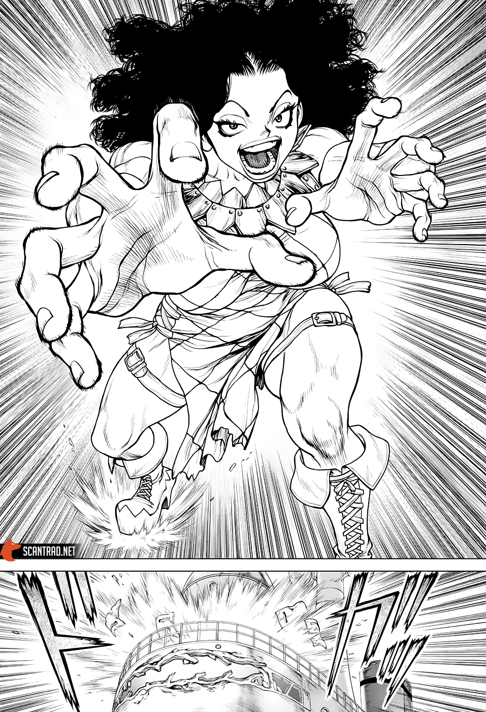 Dr. Stone: Chapter chapitre-165 - Page 11