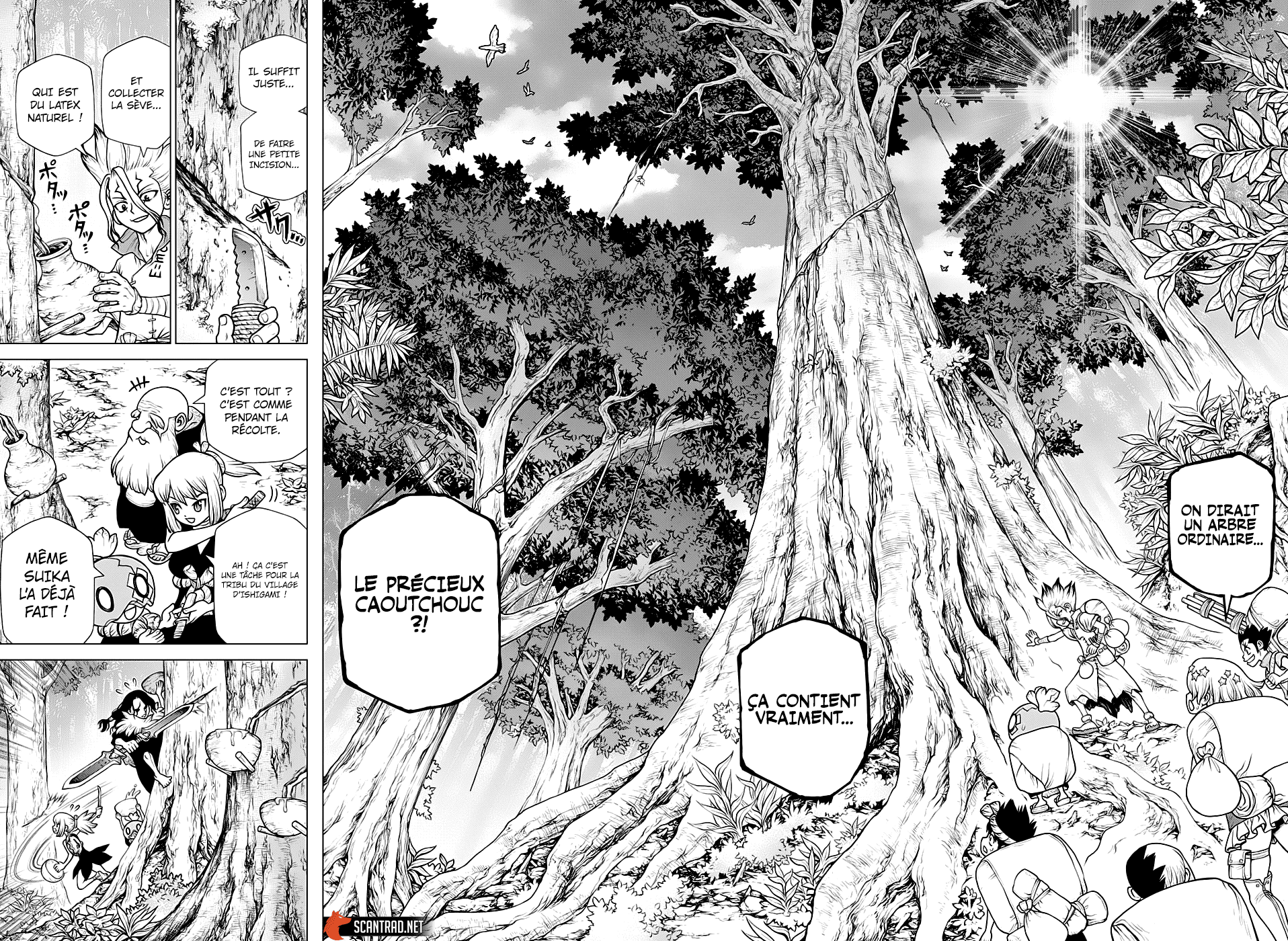 Dr. Stone: Chapter chapitre-174 - Page 11