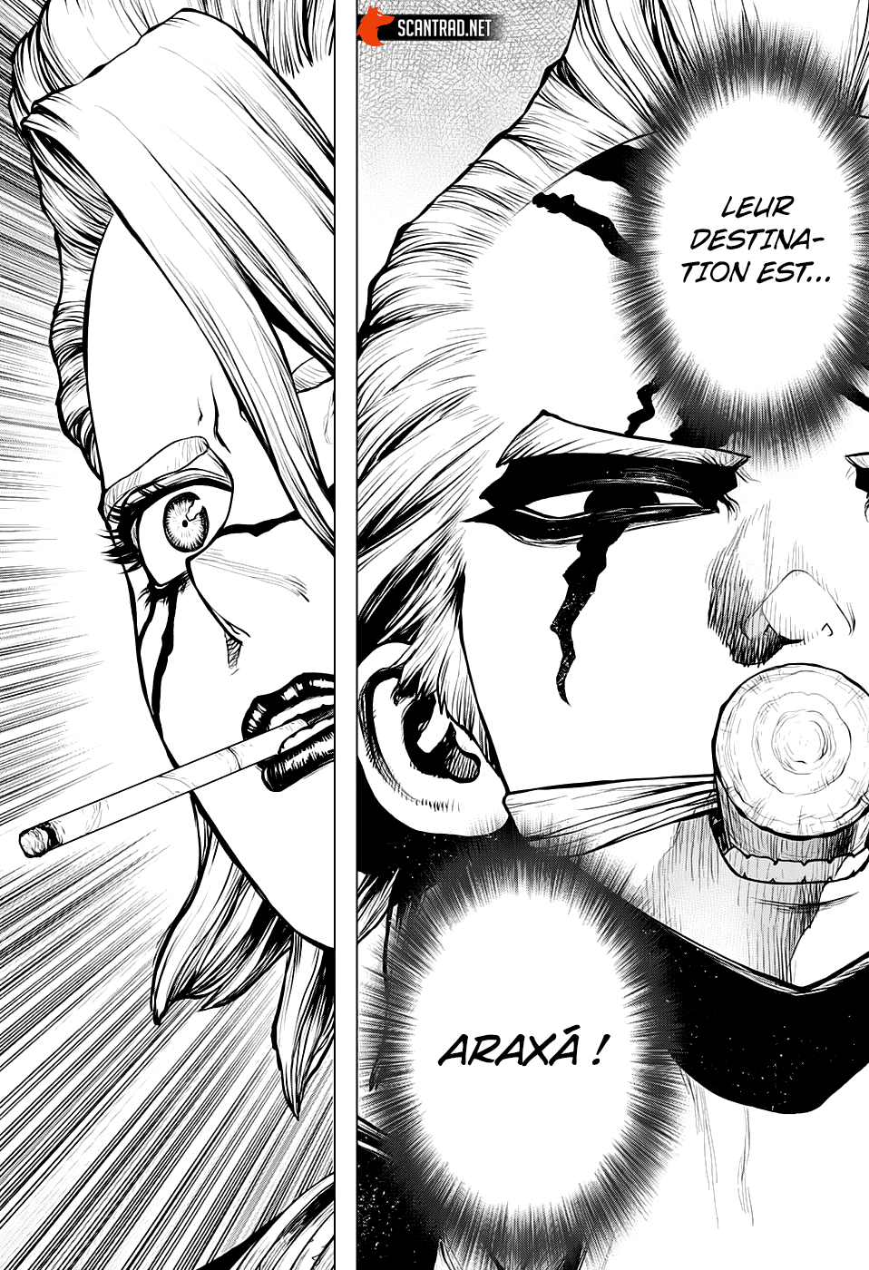Dr. Stone: Chapter chapitre-183 - Page 12